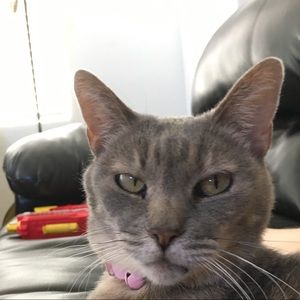 Meet your Posher, Tatianna